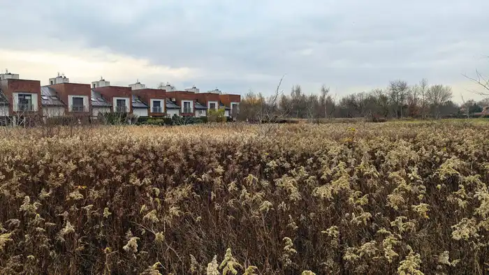 Zdjęcie główne oferty