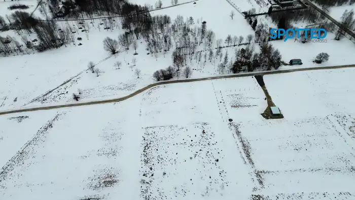 Zdjęcie główne oferty